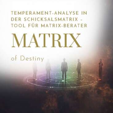Vier archetypische Silhouetten im Kreis mit elementaren Energien Feuer Wasser Erde und Luft, Sacred Geometry und leuchtende Matrix-Felder – Temperament-Analyse in der Schicksalsmatrix für Matrix-Berater