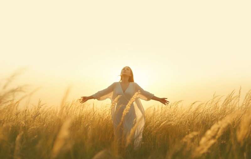 Frau steht im Gegenlicht auf einem Feld und lässt los – Symbol für das Loslassen des Kampfes und innere Befreiung mit der Schicksalsmatrix Mutterwunde