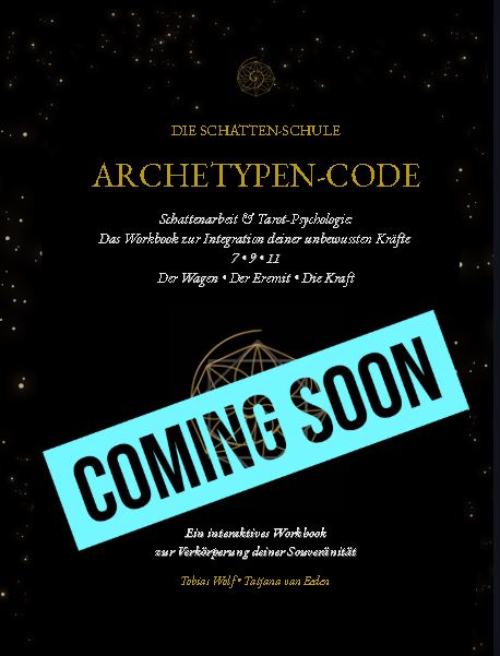 Archetypen-Code Buchcover Schatten-Schule Matrix of Destiny Workbook 3